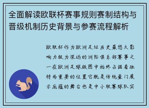 全面解读欧联杯赛事规则赛制结构与晋级机制历史背景与参赛流程解析
